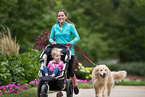 Jogger and child with jogging stroller and golden retriever.